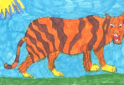 disegno tigre